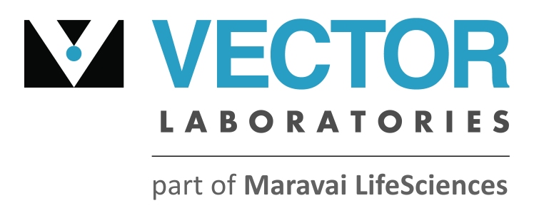 vector_laboratories_logo (1).jpg